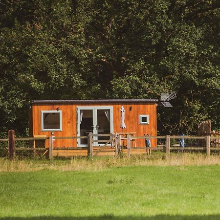 The Hideaway At Hiddenwood Glamping Ξενοδοχείο Corsley Εξωτερικό φωτογραφία